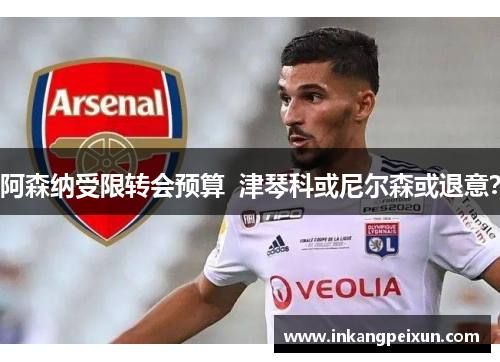 阿森纳受限转会预算  津琴科或尼尔森或退意？